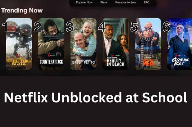 How to Watch Netflix Unblocked at School [100% Working]